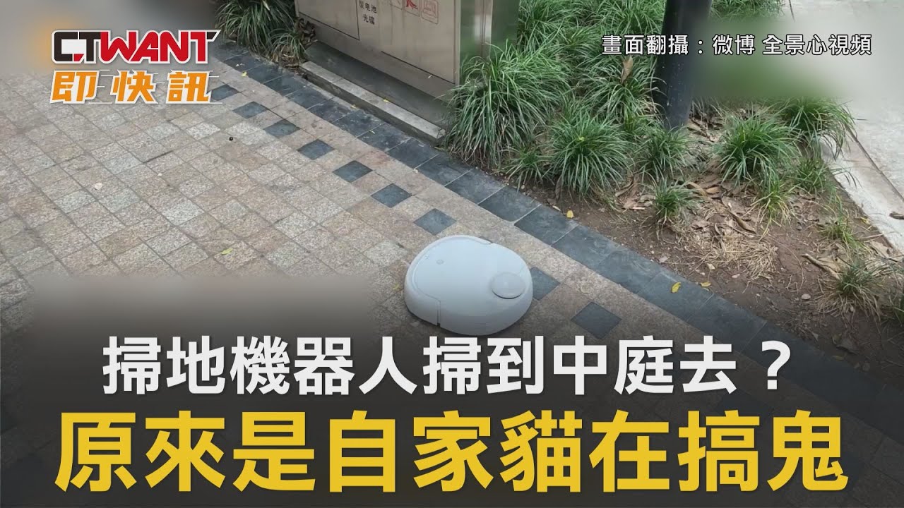圖說-掃地機器人掃到中庭去？ 原來是自家貓在搞鬼