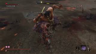全編弱腰vs SEKIRO：サイドボス編／2026年版