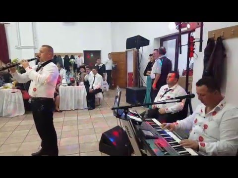 Ionica Vasiu si Trupa Albanik-live-nunta- Bogatu Roman - Sibiu