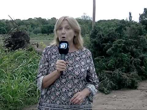 Verduras aumentan sus precios por daños en el Cinturón Verde