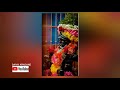 Koragajja WhatsUp Status Song