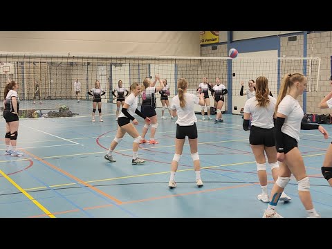 Flash DS3 - Emmen'95 DS3