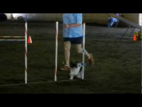 Teeters Scooter July 21, 22 2012