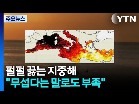 펄펄 끓는 지중해..."무섭다는 말로도 부족" / YTN