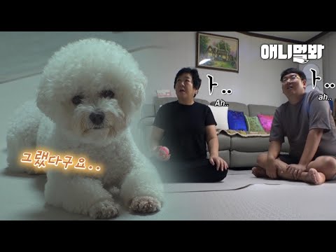 Reason Why Dog Hates Tofu Truck Jingle