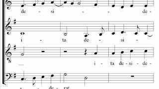 The Cambridge Singers Chords