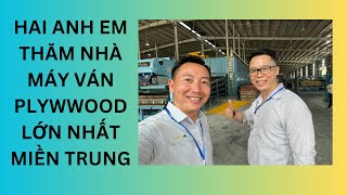 THĂM QUAN NHÀ MÁY VÁN ÉP PLYWOOD LỚN NHẤT MIỀN TRUNG: VÁN ÉP CÁC LOẠI, VÁN DĂM, VÁN SLP...