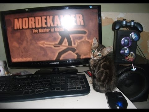 My Cat's reaction to "Stick Figure Spotlight 4 Final Eclipse"