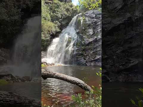 Cachoeira Capão Forro - MG - 💲40,00 por pessoa #minasgerais #serradacanastra