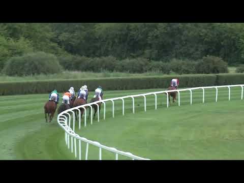 2017.09.03. 5. futam - APERIANOV ZAKARIÁS EMLÉKVERSENY - IMPERIÁL DÍJ (HUN Gd-2) (NGL - VIII.)
