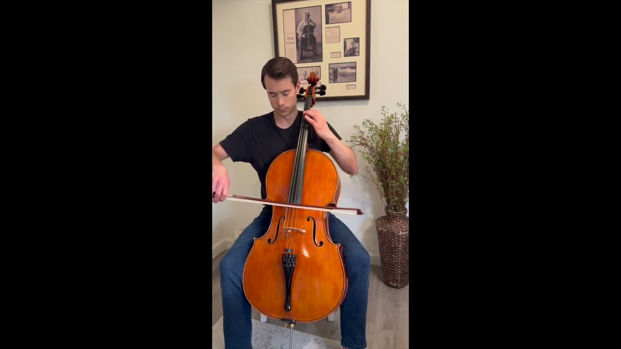 Promotional video thumbnail 1 for Timothy Winter, Cellist