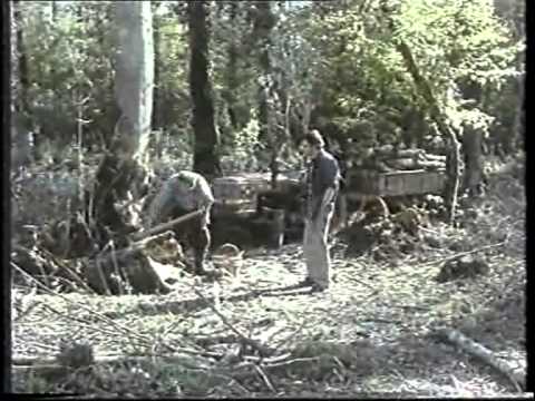 Cijena života, kolika je u tami vremena.....