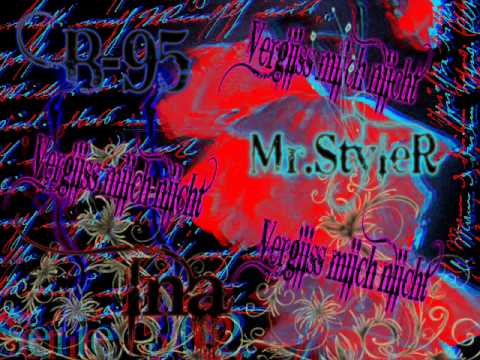 B-95 Feat. Mr.Styler and Ina - Vergiiss Miich Niicht   2010