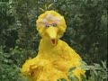 Sesame Street Big Bird S Whistling Poem