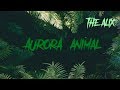 แปลซับไทย AURORA-Animal Sub.Thai แปลซับไทย AURORA-Animal Sub.Thai