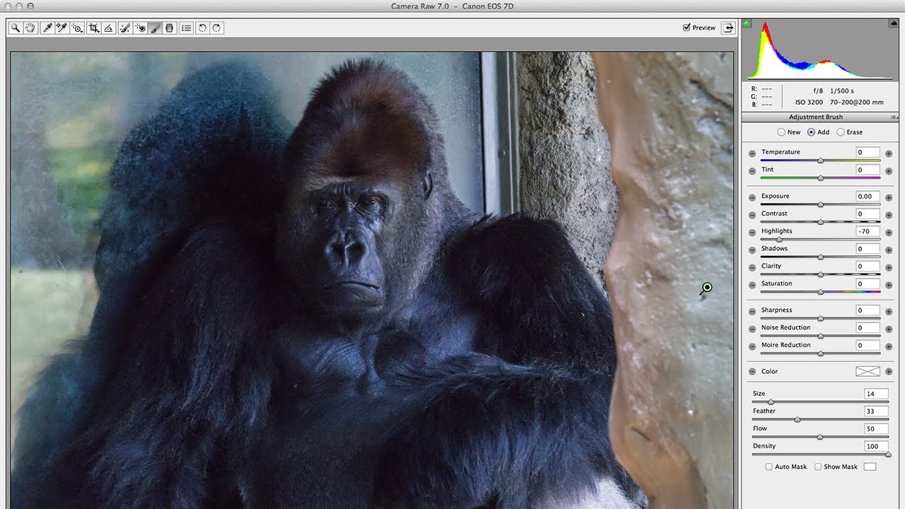 Adobe Camera Raw 7.0 in Photoshop CS6 - video 5