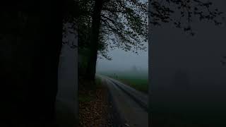 Download lagu Suara Angin Untuk Relaksasi #angin #alam #relaksasi mp3