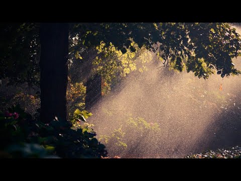 Seven24 - Summer Rain (Dmitry  Lee'O Remix)
