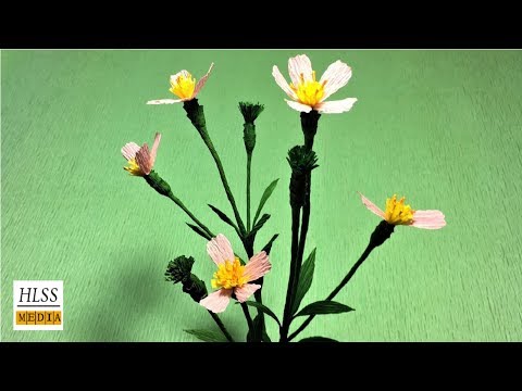 How to make wild chrysanthemum paper flower| Chrysanthemum crepe  paper flower making tutorials