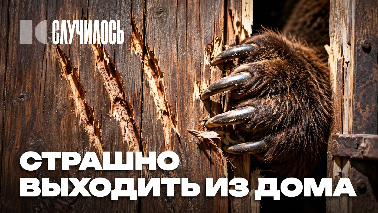 Медвежий ад: комендантский час и патрули с автоматами. Как выживает Сибирь? | 