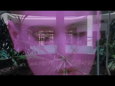 Dead Mall Series Return Ad