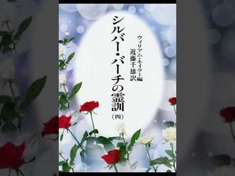 園芸 シルバーバーチ