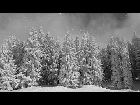 Wenn es nur einmal so ganz stille wäre - Rainer Maria Rilke