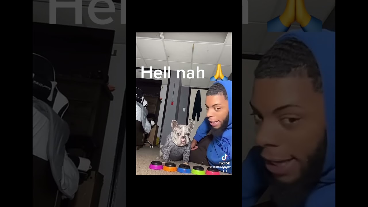 Hell nah #dog
