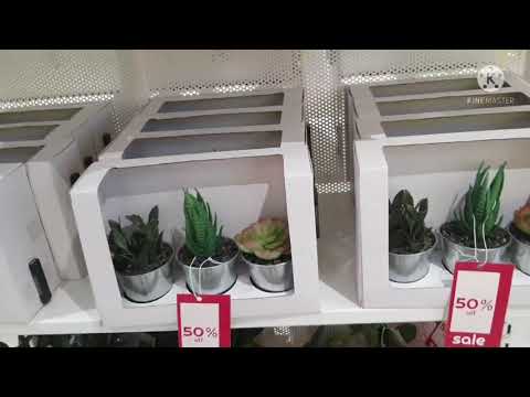 visit to landmark andheri west🤑🤑🤑