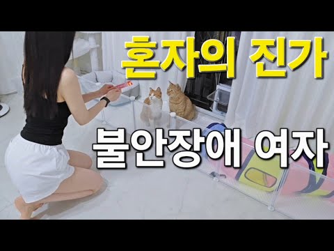 혼자 어떻게 지내느냐를 보면 그 사람의 진가를 알 수 있다 비빔냉면 찐만두 먹방 고양이와 일상