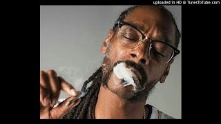 Snoop Dogg - I Believe In You (Ft Latoiya Williams) (slowed)