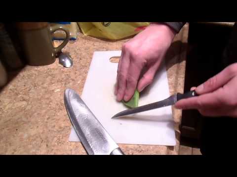 download lagu mp3 mp4 What Kind Of Cactus Can Bearded Dragons Eat, download lagu What Kind Of Cactus Can Bearded Dragons Eat gratis, unduh video klip What Kind Of Cactus Can Bearded Dragons Eat