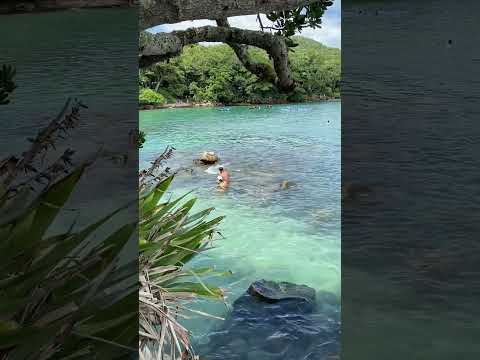 Paraíso em Bombinhas- SC