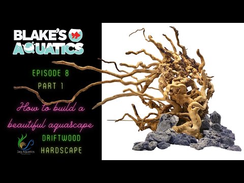 HOW TO BUILD A BEAUTIFUL AQUASCAPE STEP BY STEP EPISODE 8 - BLAKE'S AQUATICS DRIFTWOOD HARDSCAPE