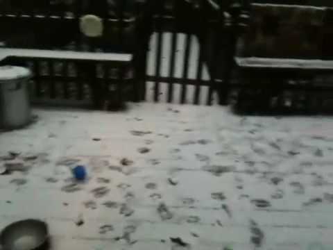 Arzu First Snow 1