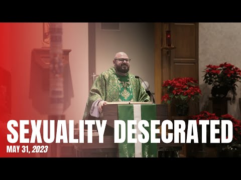 What the Catechism Says About Homosexuality As We Enter “Pride Month” - Fr. Patrick Schultz