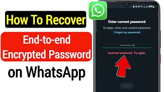 How to Reset WhatsApp Encrypted Password | Recover WhatsApp End to End Encrypted Password (2023)
