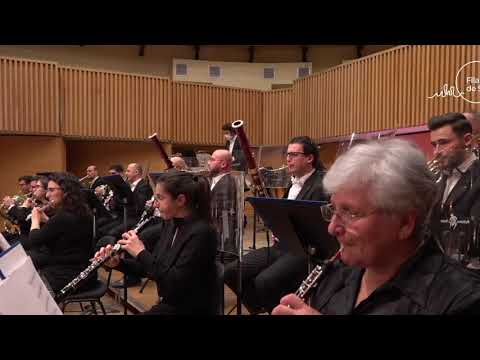 Valentin Doni - Valse - For Flute and Orchestra / Ion Bogdan Stefanescu