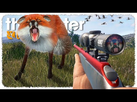 This Scotland Hunt Was PURE CHAOS (foxes everywhere) | theHunter CotW