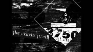 The Acacia Strain 3750 Halcyon