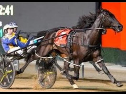 Tab Race Fields Today