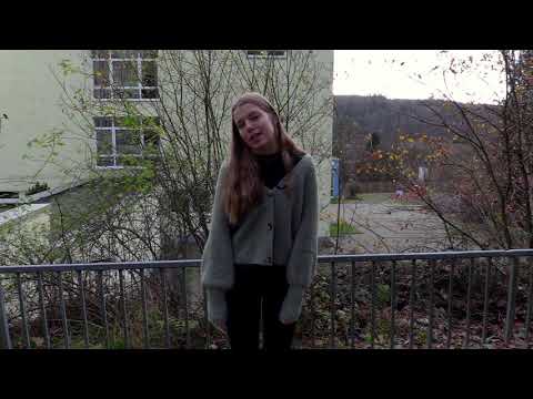 WWG-Adventskalender - Türchen 15: Die SV stellt sich vor