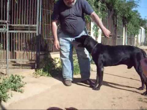 Cans de Bestiar - Mallorca 2009