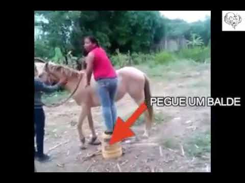 os melhores Tombos de cavalo 😂