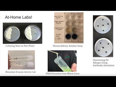 Biotech 1-2 Open House Presentation