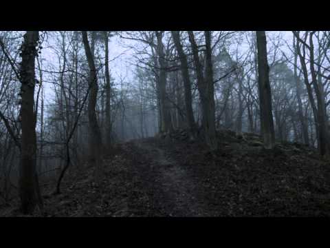 Original Cello Composition - Paradigm