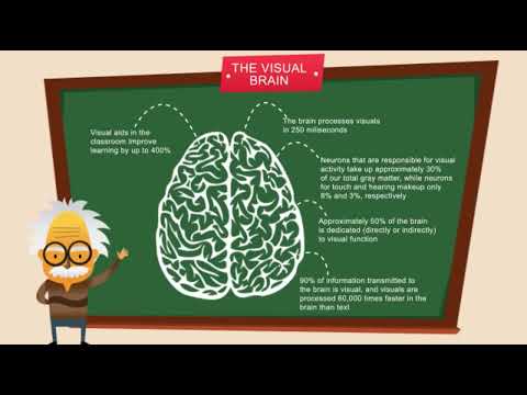 DAT115 No Narration Explainer Video