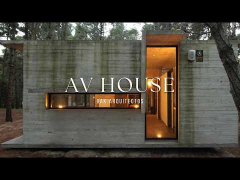 This Brutalist House Disappears Into the Forest | AV House