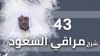 شرح مراقي السعود - 43 - الشيخ محمد محمود الشنقيطي image