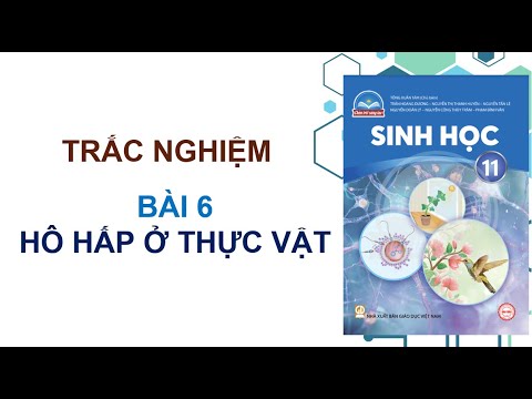 BÀI 6: HÔ HẤP Ở THỰC VẬT - TRẮC NGHIỆM SINH 11 - CTST
